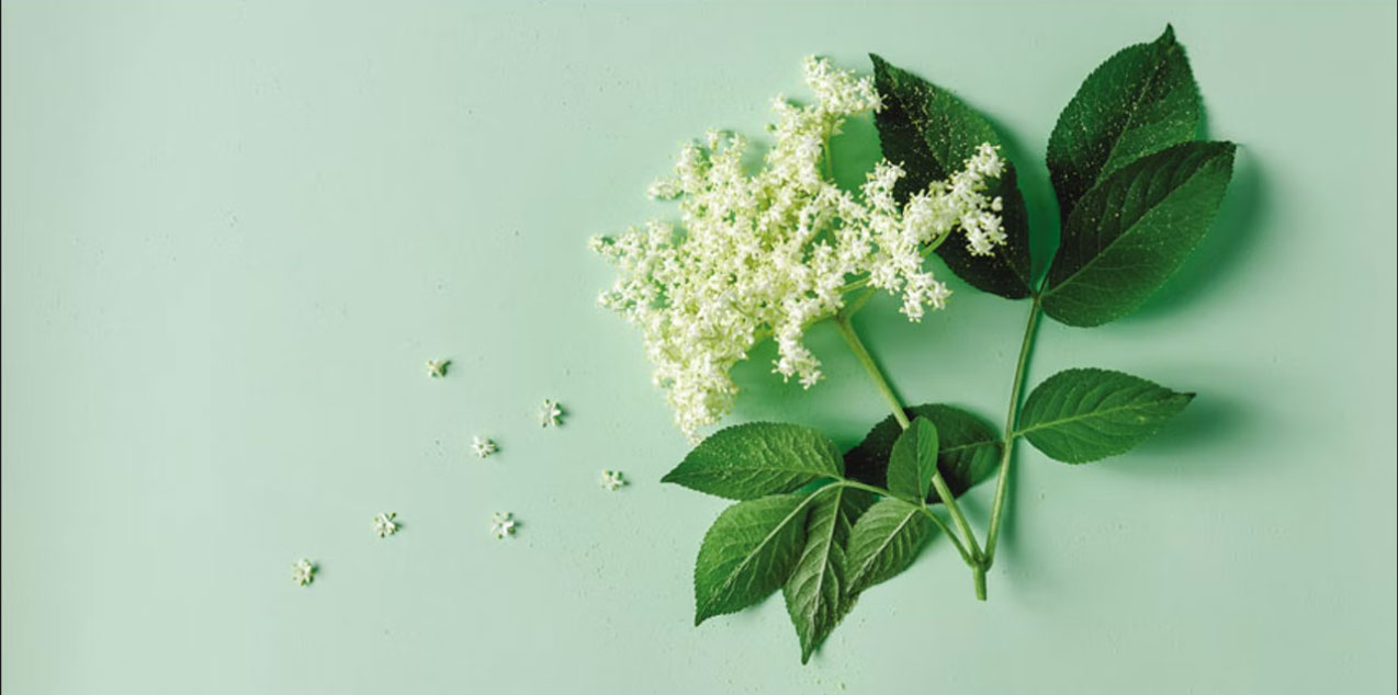 香精與香料(19)-香精的分類、配制與調(diào)和