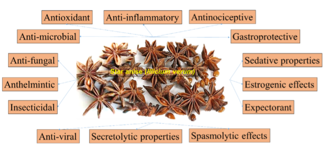 香精與香料(39)—大茴香醛與八角茴香 香精與香料(39)—大茴香醛與八角茴香