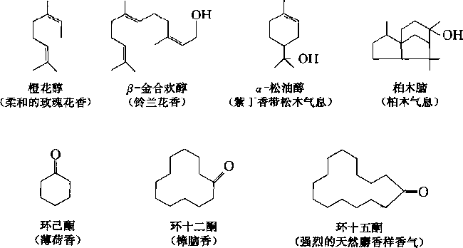 香水的香氣從何而來？