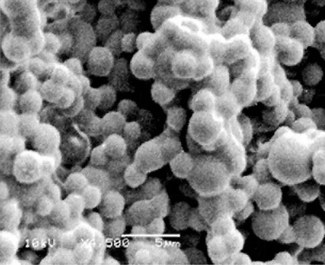 香水的香氣從何而來？