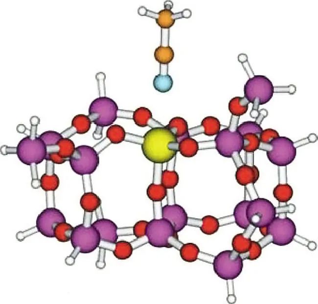 香水的香氣從何而來？