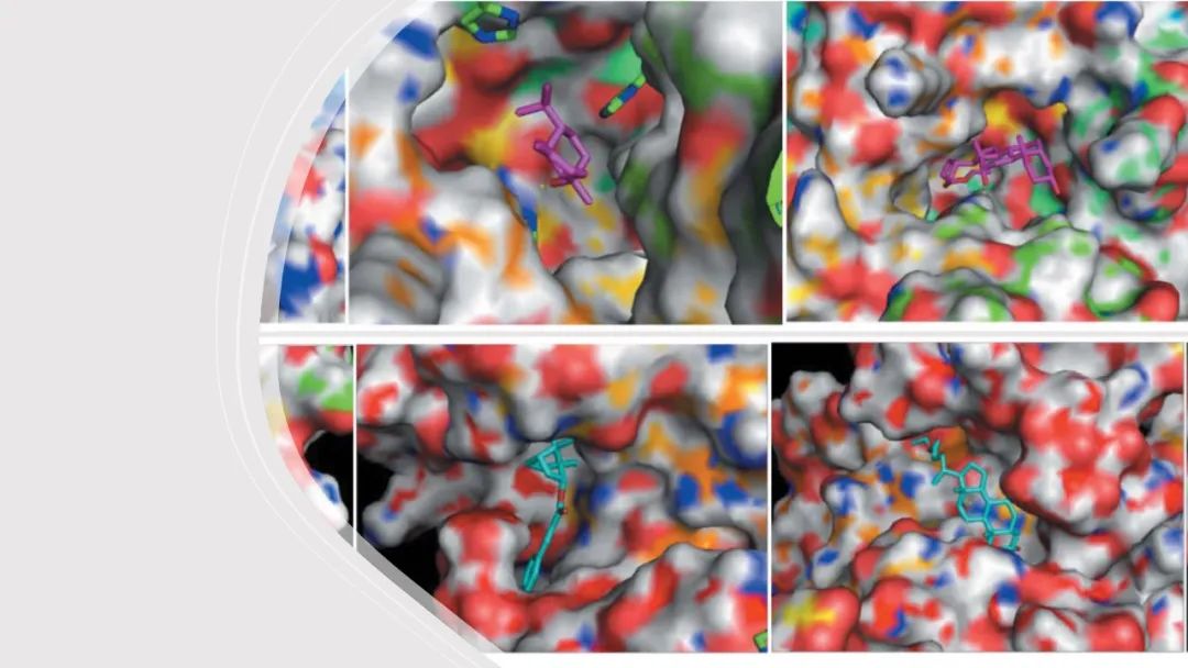 香精與香料(112)—白膠香 香精與香料(112)—白膠香
