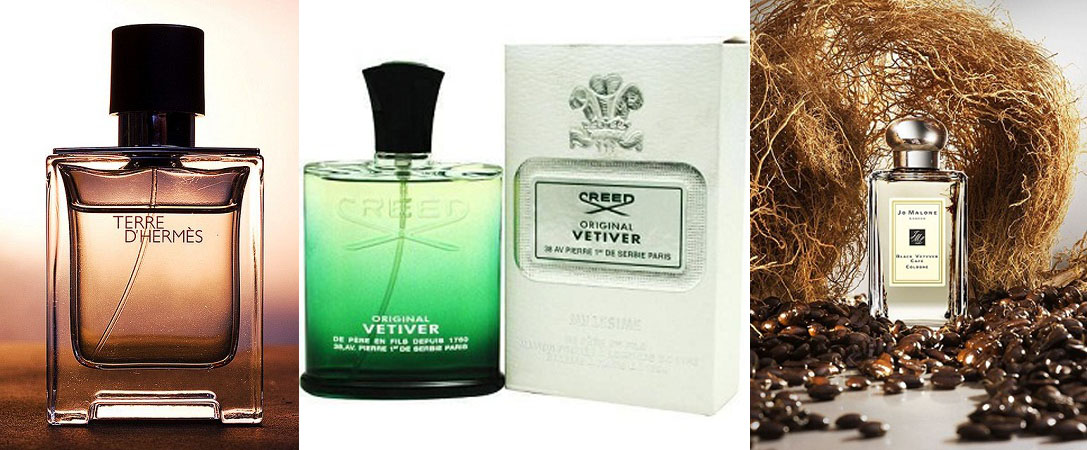 萬(wàn)能的木質(zhì)香氣—香根草 萬(wàn)能的木質(zhì)香氣—香根草