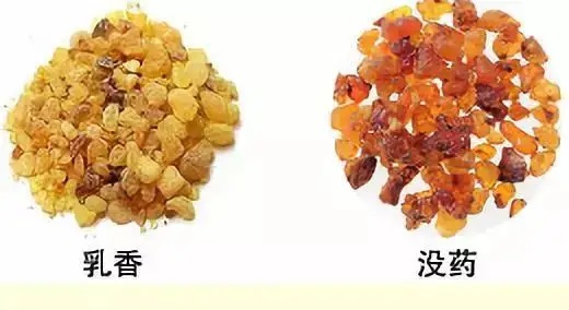 乳香，Boswellia Carterri Birdw 橄欖科