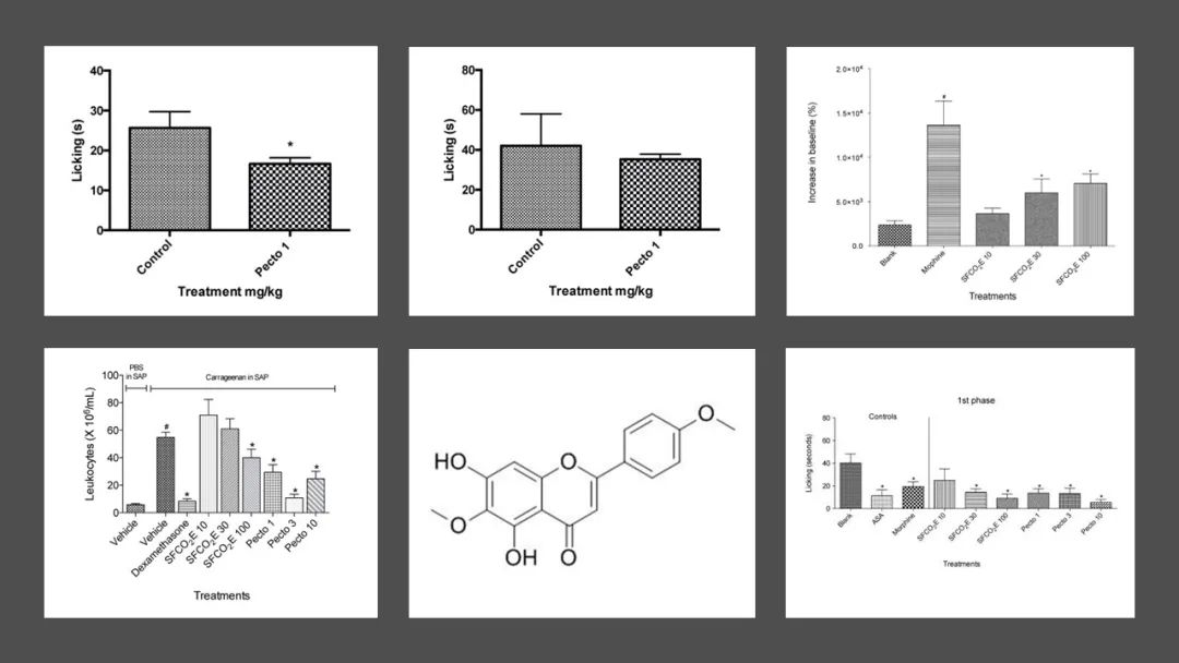香精與香料(141)—蛔蒿 香精與香料(141)—蛔蒿