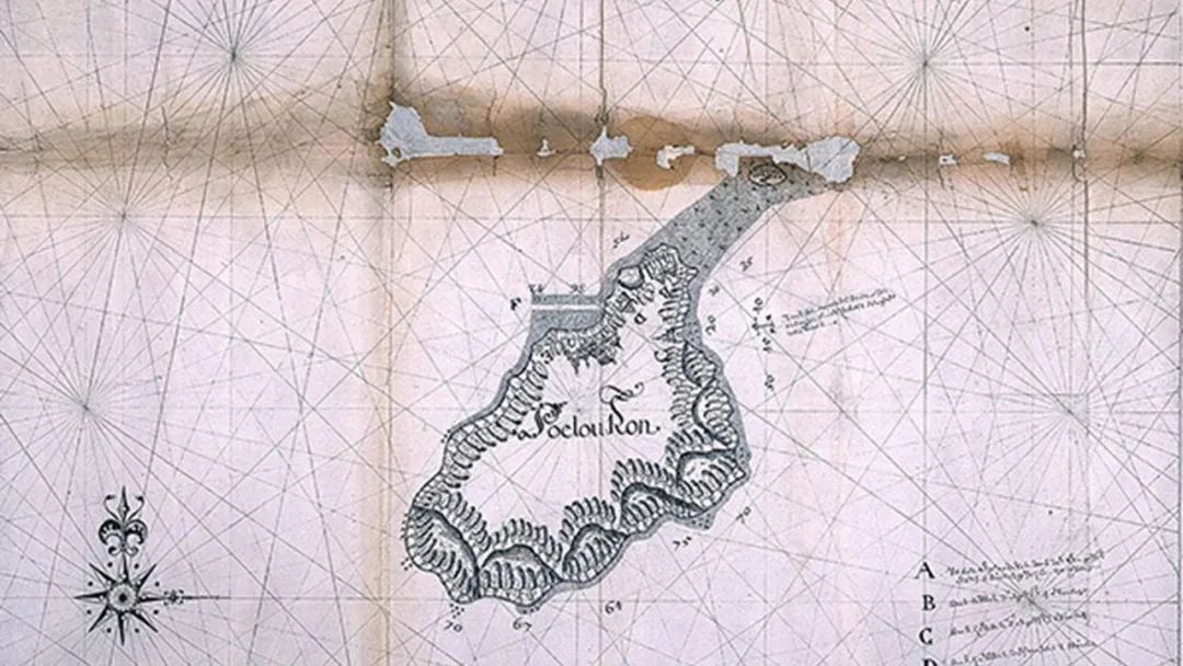 香精與香料(152)—豆蔻 香精與香料(152)—豆蔻