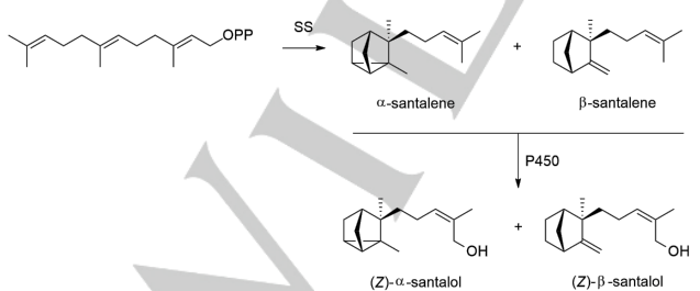 生物合成香料的化學(xué)組成、可持續(xù)性和天然性