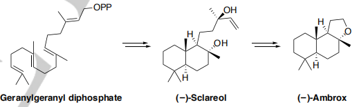 生物合成香料的化學(xué)組成、可持續(xù)性和天然性
