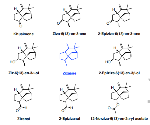 生物合成香料的化學(xué)組成、可持續(xù)性和天然性