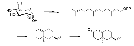 生物合成香料的化學(xué)組成、可持續(xù)性和天然性