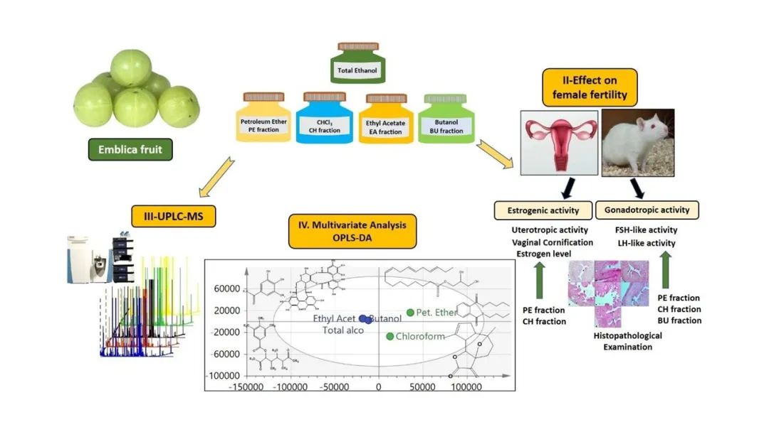 香精與香料(170)—油柑