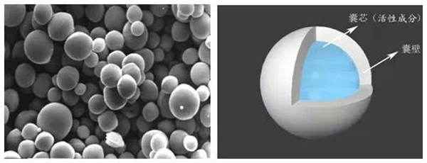 什么是微膠囊技術(shù),都有哪些主要用途? 什么是微膠囊技術(shù),都有哪些主要用途?