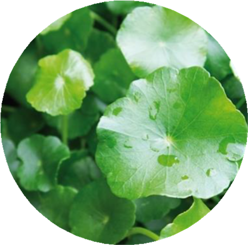 2022年護(hù)膚熱門功效成分有哪些？