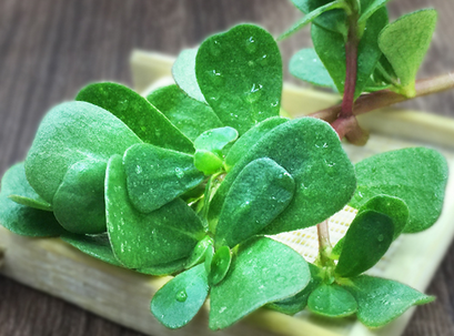 2022年護(hù)膚熱門功效成分有哪些？