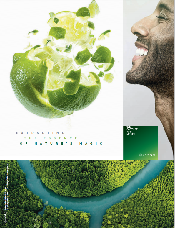 2022年日用和食用香精的領(lǐng)導(dǎo)者和新聞人物(七) 2022年日用和食用香精的領(lǐng)導(dǎo)者和新聞人物(七)