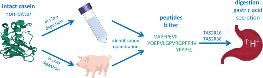 JAFC09052022風味文獻速覽 JAFC09052022風味文獻速覽