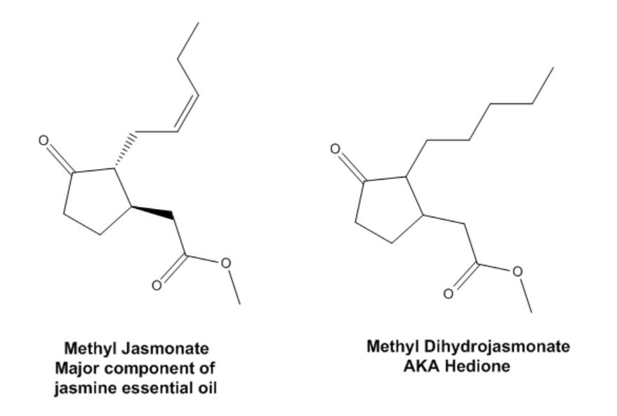 香料筆記：二氫茉莉酮酸甲酯，本身就是一種香水