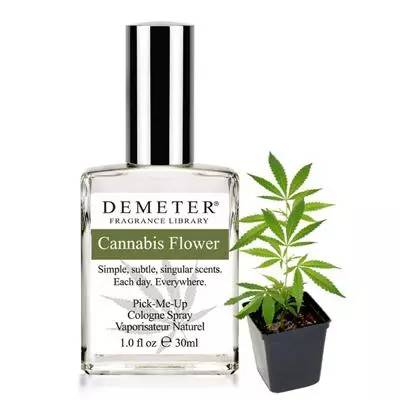 沙龍香水，你了解多少？