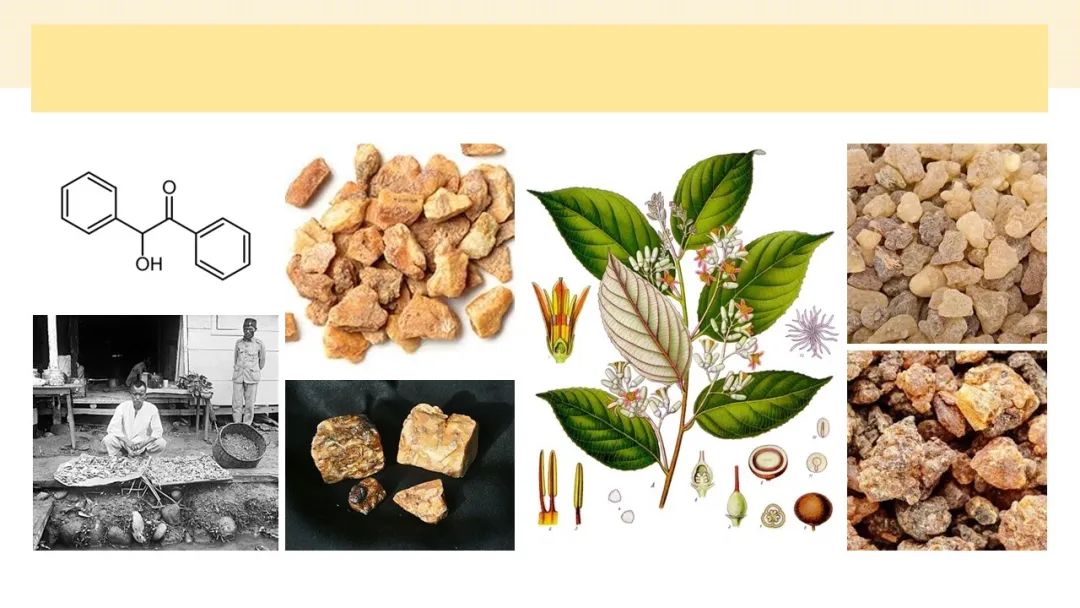 調(diào)香筆記(8)——50種常見的香水成分:氣味和起源 調(diào)香筆記(8)——50種常見的香水成分:氣味和起源