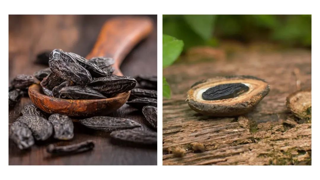 調(diào)香筆記(8)——50種常見的香水成分:氣味和起源 調(diào)香筆記(8)——50種常見的香水成分:氣味和起源