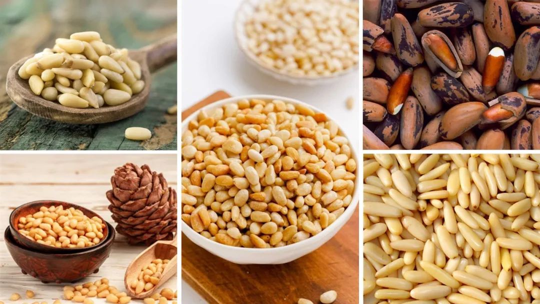 世界地理香料索引(2)——Geographic Spice Index(2) 世界地理香料索引(2)——Geographic Spice Index(2)