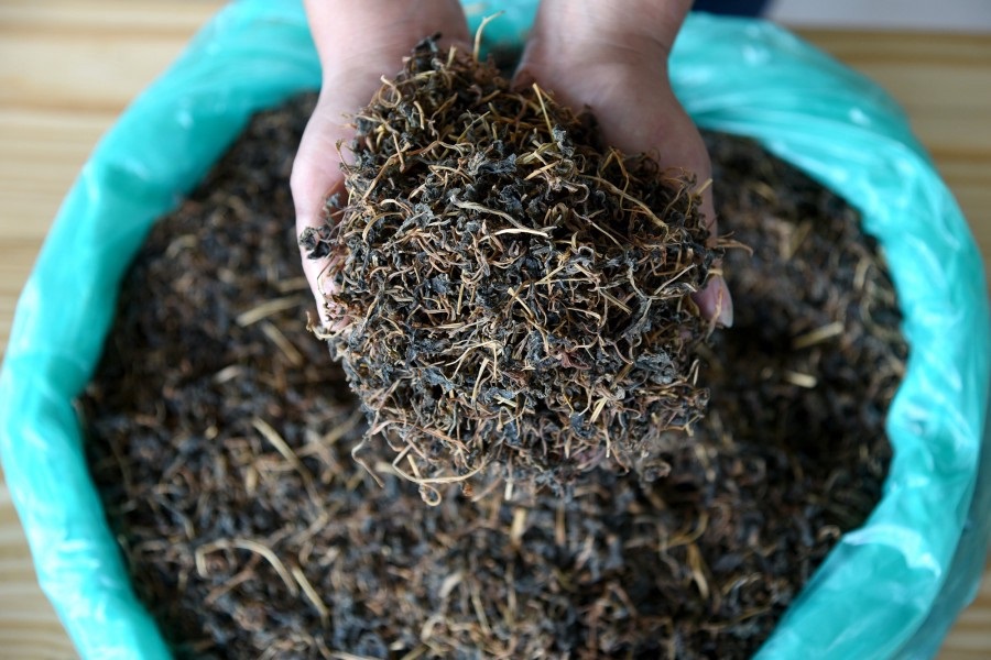 世界地理香料索引(4)—World Geographic Spice Index (4) 世界地理香料索引(4)—World Geographic Spice Index (4)