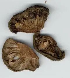 世界地理香料索引(4)—World Geographic Spice Index (4) 世界地理香料索引(4)—World Geographic Spice Index (4)