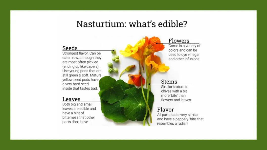 世界地理香料索引(8)—World Geographic Spice Index 世界地理香料索引(8)—World Geographic Spice Index