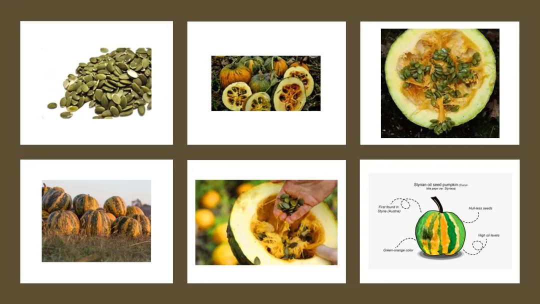 世界地理香料索引(8)—World Geographic Spice Index 世界地理香料索引(8)—World Geographic Spice Index