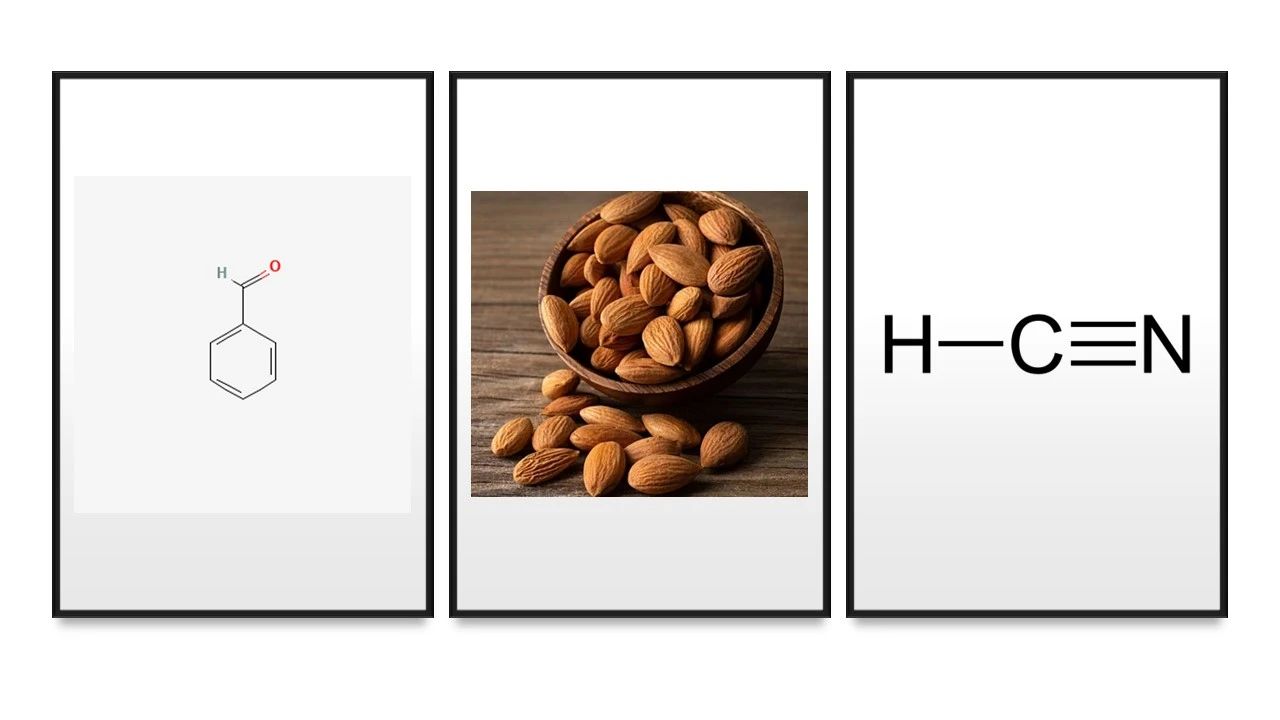 人工智能預(yù)測人類聞到的化學物質(zhì)是什么氣味