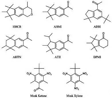 天然麝香與合成麝香的一切 天然麝香與合成麝香的一切