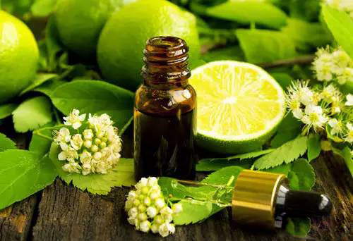 混合臭味與芳香:吲哚之迷 混合臭味與芳香:吲哚之迷