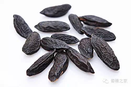 常用于制作香水的植物香料 常用于制作香水的植物香料