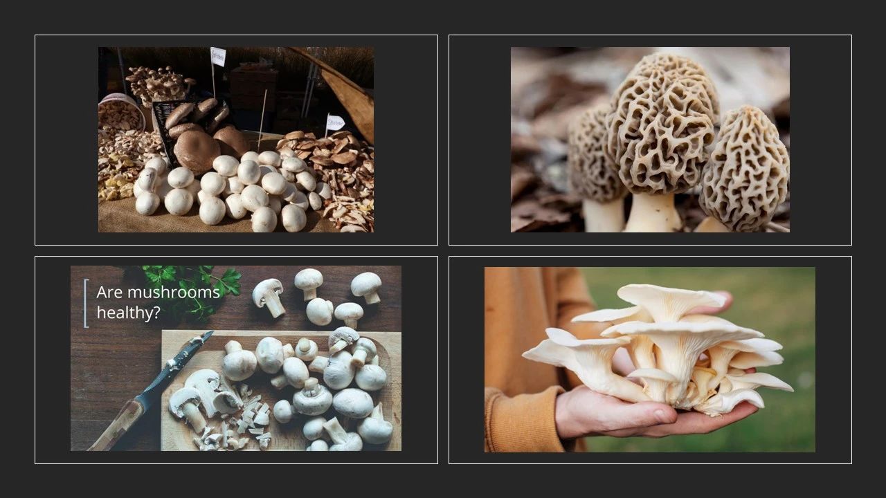 各大香精公司2023年風(fēng)味預(yù)測(cè)