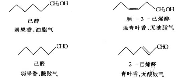 香料的分子結(jié)構(gòu)與香氣的關(guān)系 香料的分子結(jié)構(gòu)與香氣的關(guān)系