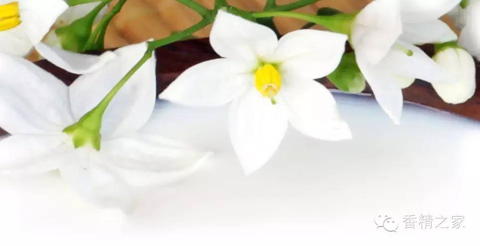 一款香水里有多少成分才足夠？