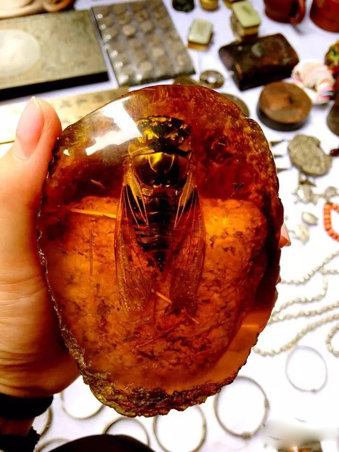 琥珀——凝結(jié)的陽光