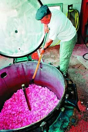 香氣背后的調(diào)配與記憶 香氣背后的調(diào)配與記憶