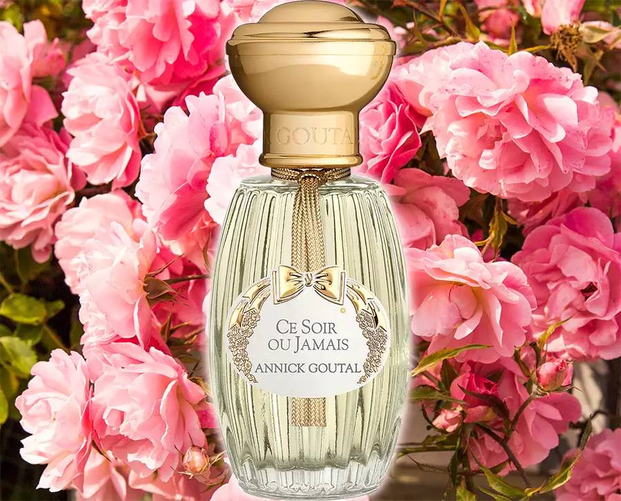 一瓶香水里究竟用了多少朵玫瑰？