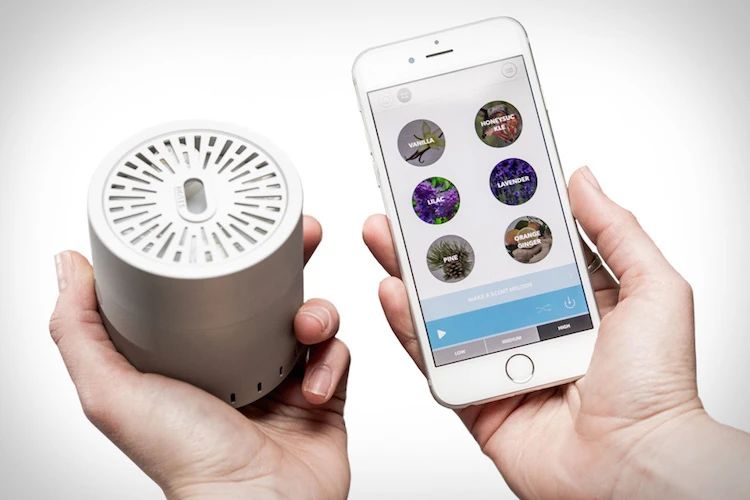 香水的數(shù)字化未來 香水的數(shù)字化未來