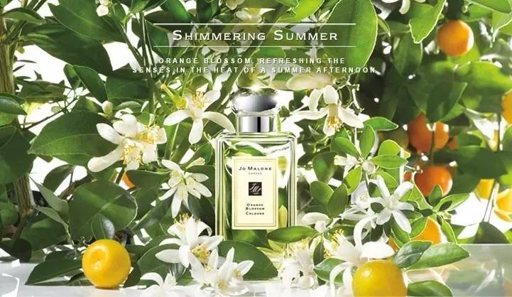 初春花香調(diào)香水盤點(diǎn) | 橙花系香水 初春花香調(diào)香水盤點(diǎn) | 橙花系香水