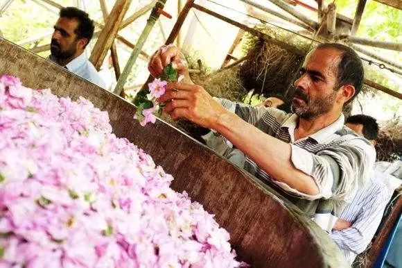 這座充滿“玫瑰香”的城市——卡尚 這座充滿“玫瑰香”的城市——卡尚