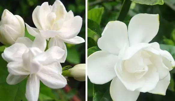 你與酷夏當中隔了一瓶香水 你與酷夏當中隔了一瓶香水