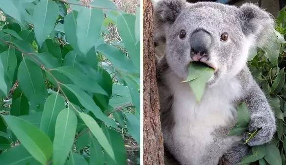 你與酷夏當中隔了一瓶香水 你與酷夏當中隔了一瓶香水