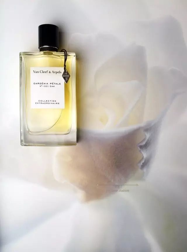 梔子花|4月過(guò)半，純白季即將來(lái)襲，請(qǐng)你穿上“梔子花”入夢(mèng)！