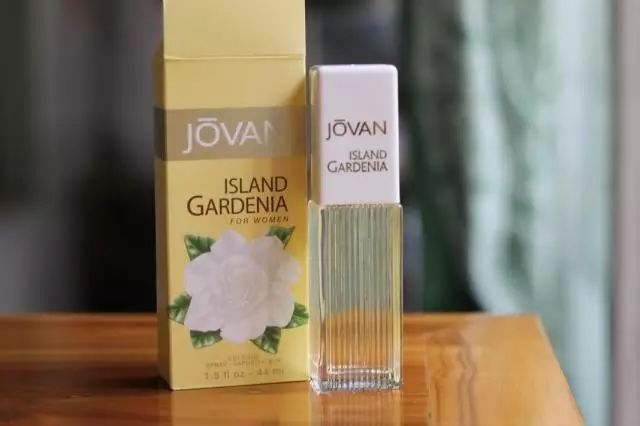 梔子花|4月過(guò)半，純白季即將來(lái)襲，請(qǐng)你穿上“梔子花”入夢(mèng)！