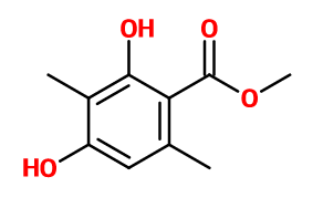香水中的灌木叢氣息 香水中的灌木叢氣息