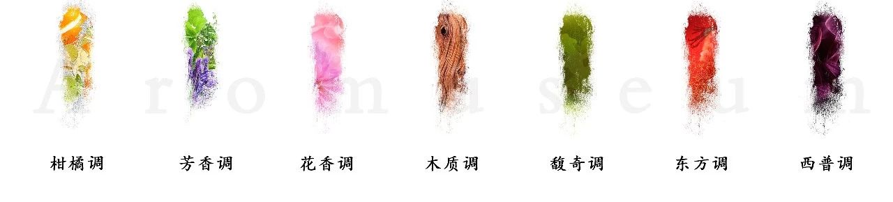 為什么有人一身果香，有人卻一身藿香？