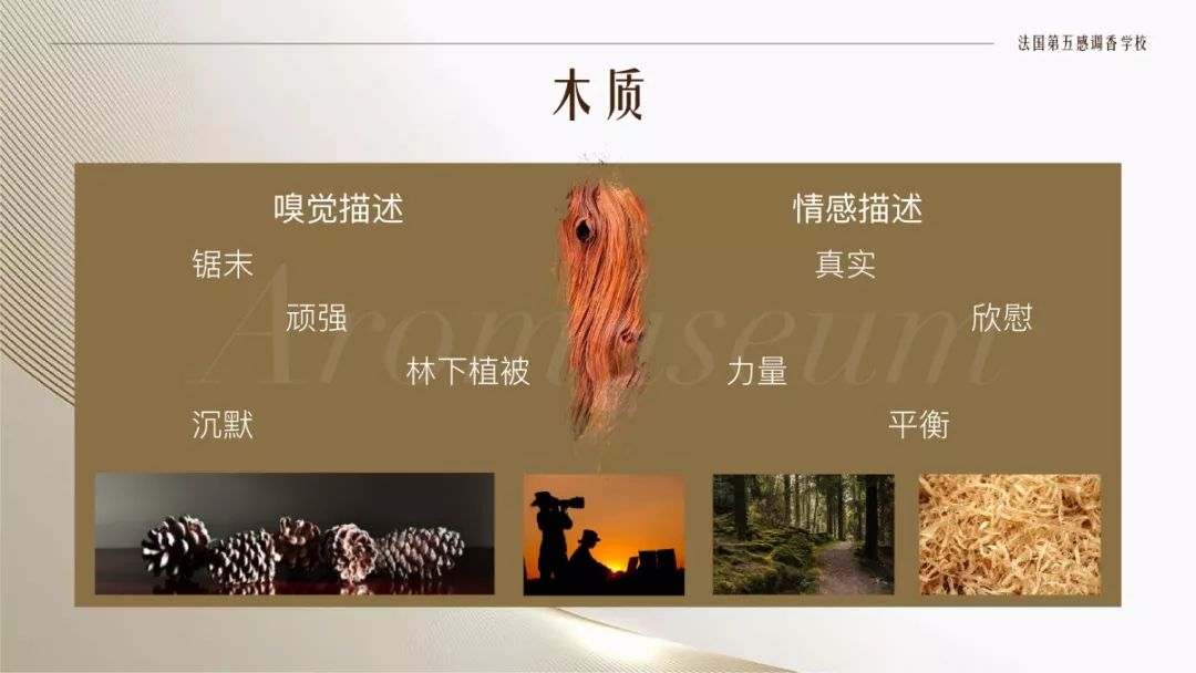 為什么有人一身果香，有人卻一身藿香？