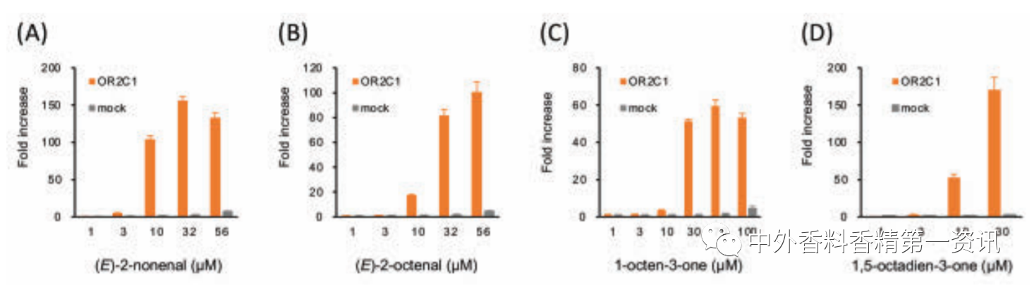 新型去異味香水的開發(fā)與設計 新型去異味香水的開發(fā)與設計